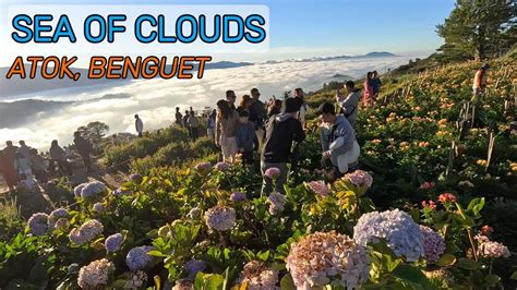 Benguet Tours .